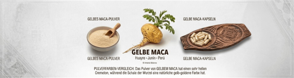 Gelbe Maca