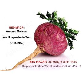 100 Stk. RED MACA Kapseln à 1000mg